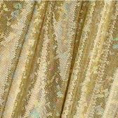 Kód: 36116  holografikus lycra - ORO.
